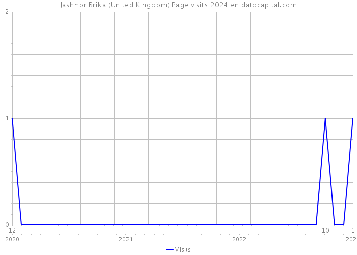 Jashnor Brika (United Kingdom) Page visits 2024 
