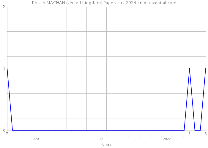 PAULA MACHAN (United Kingdom) Page visits 2024 