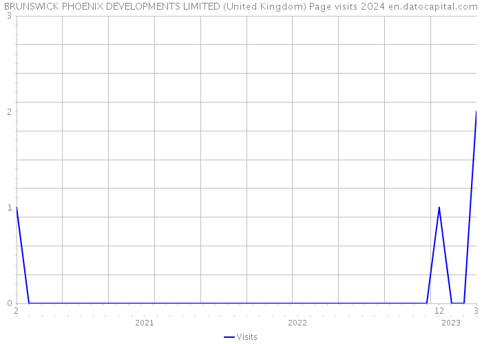 BRUNSWICK PHOENIX DEVELOPMENTS LIMITED (United Kingdom) Page visits 2024 