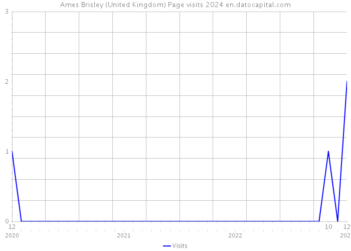 Ames Brisley (United Kingdom) Page visits 2024 