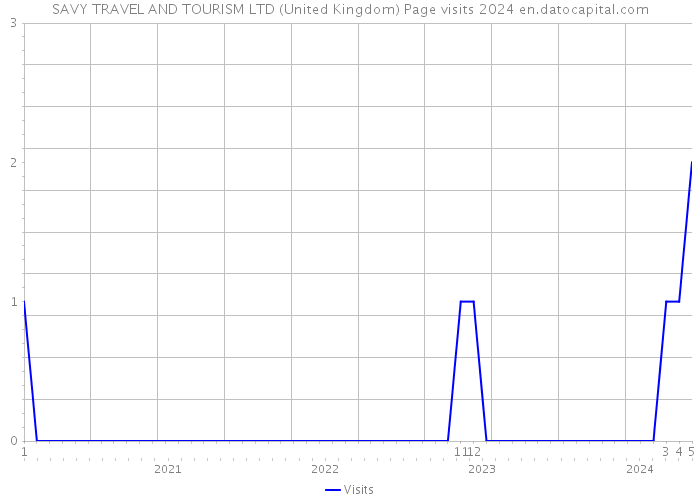 SAVY TRAVEL AND TOURISM LTD (United Kingdom) Page visits 2024 