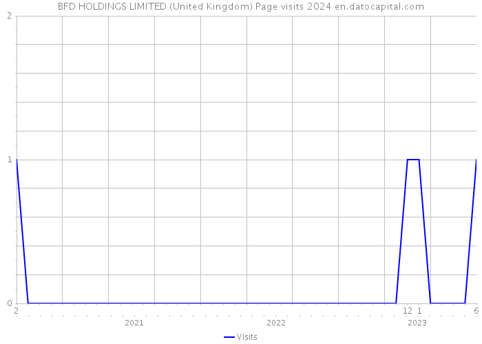 BFD HOLDINGS LIMITED (United Kingdom) Page visits 2024 