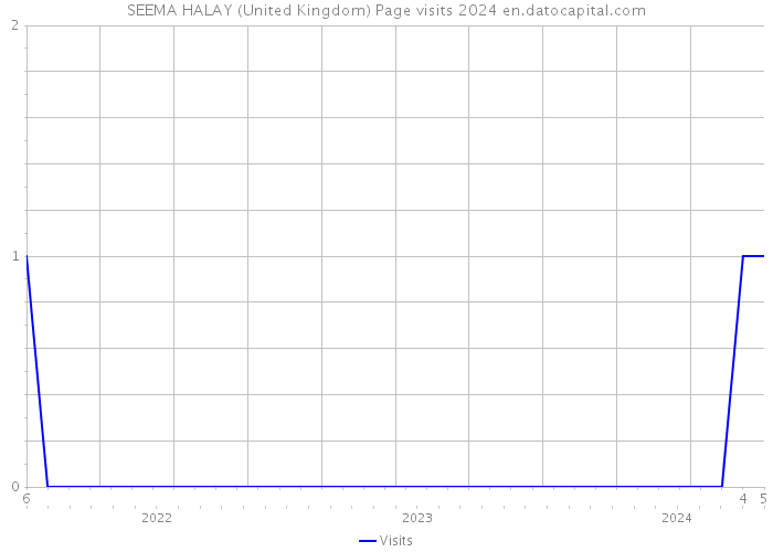 SEEMA HALAY (United Kingdom) Page visits 2024 