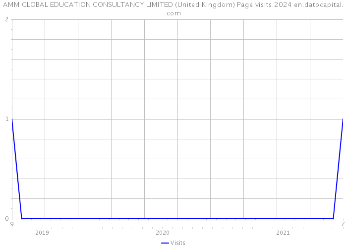 AMM GLOBAL EDUCATION CONSULTANCY LIMITED (United Kingdom) Page visits 2024 