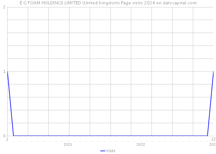 E G FOAM HOLDINGS LIMITED (United Kingdom) Page visits 2024 