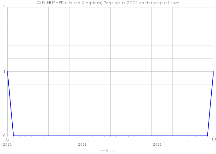 GUY HUSHER (United Kingdom) Page visits 2024 