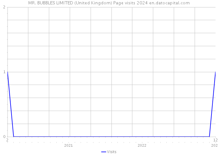 MR. BUBBLES LIMITED (United Kingdom) Page visits 2024 