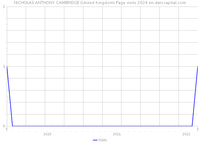 NICHOLAS ANTHONY CAMBRIDGE (United Kingdom) Page visits 2024 