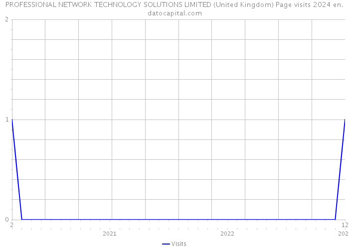 PROFESSIONAL NETWORK TECHNOLOGY SOLUTIONS LIMITED (United Kingdom) Page visits 2024 