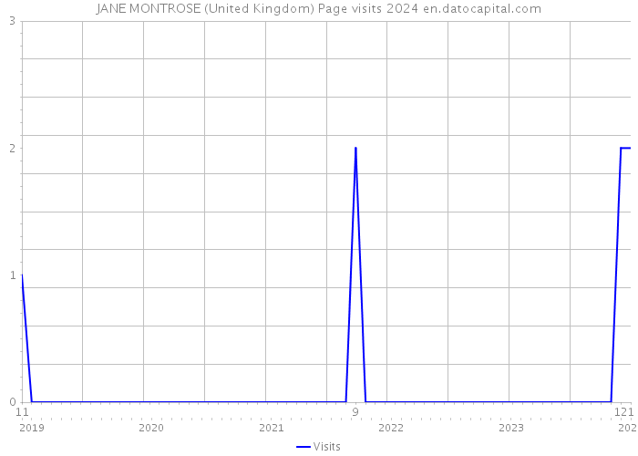 JANE MONTROSE (United Kingdom) Page visits 2024 