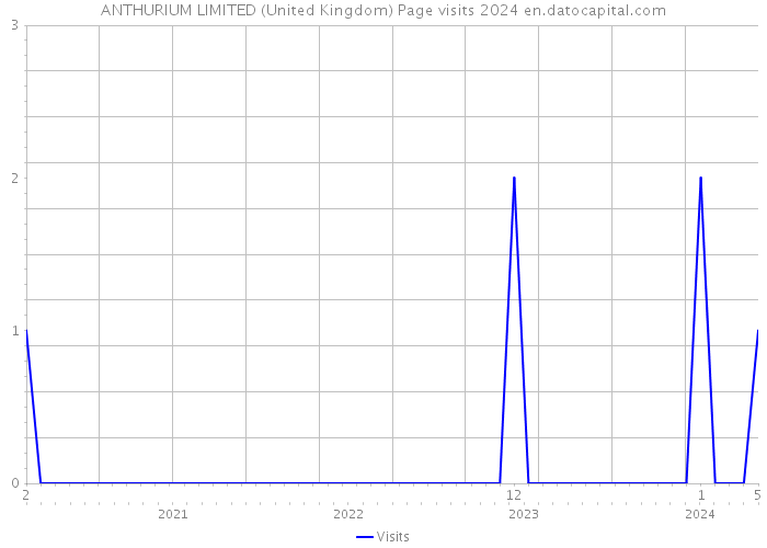 ANTHURIUM LIMITED (United Kingdom) Page visits 2024 