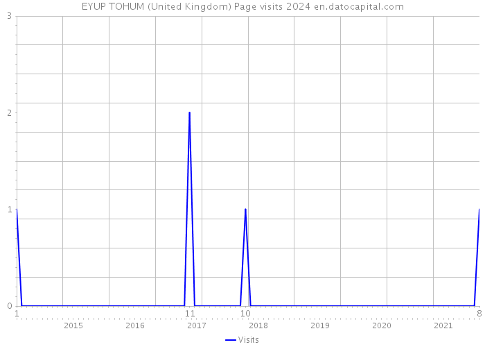 EYUP TOHUM (United Kingdom) Page visits 2024 