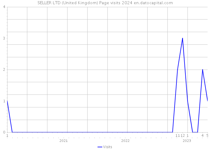 SELLER LTD (United Kingdom) Page visits 2024 