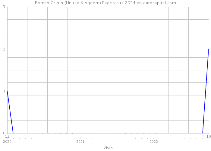 Roman Grinin (United Kingdom) Page visits 2024 