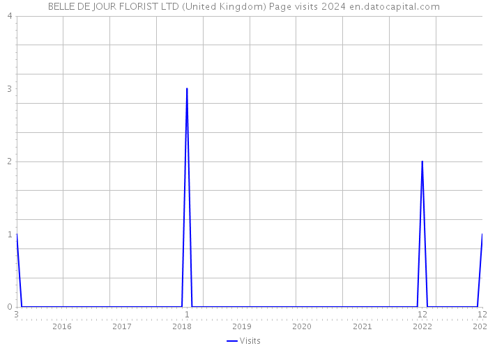 BELLE DE JOUR FLORIST LTD (United Kingdom) Page visits 2024 