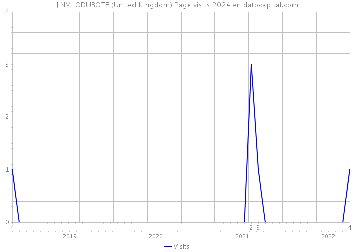 JINMI ODUBOTE (United Kingdom) Page visits 2024 