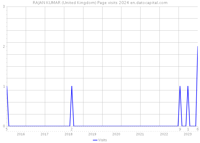 RAJAN KUMAR (United Kingdom) Page visits 2024 