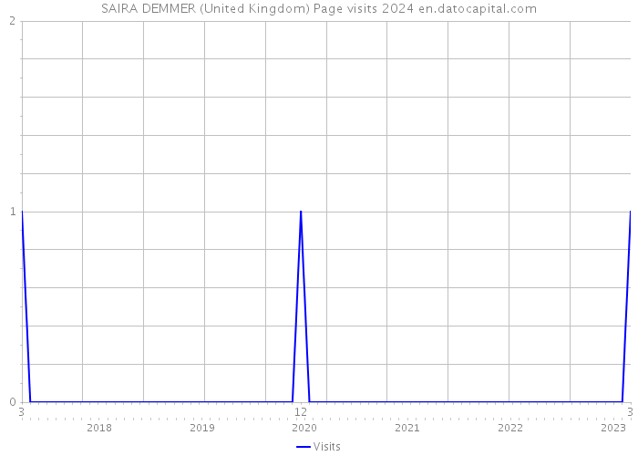 SAIRA DEMMER (United Kingdom) Page visits 2024 