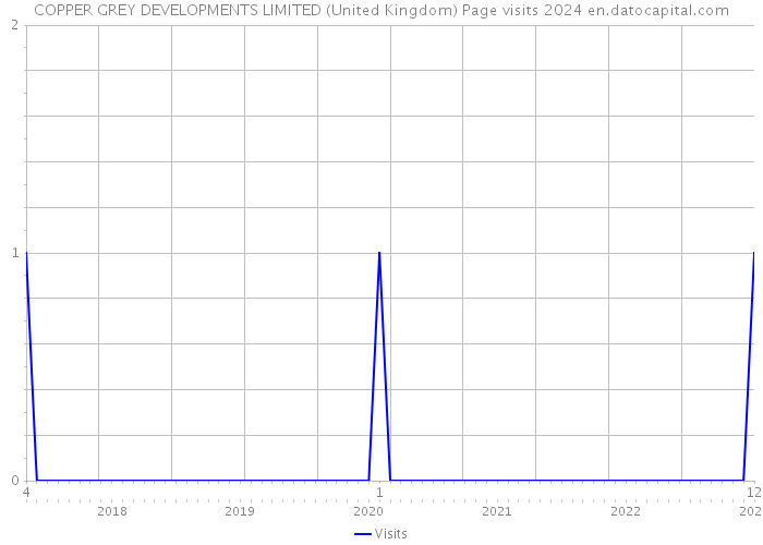 COPPER GREY DEVELOPMENTS LIMITED (United Kingdom) Page visits 2024 