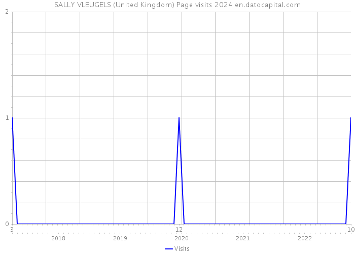SALLY VLEUGELS (United Kingdom) Page visits 2024 