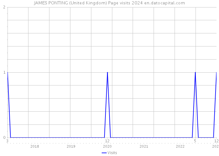 JAMES PONTING (United Kingdom) Page visits 2024 