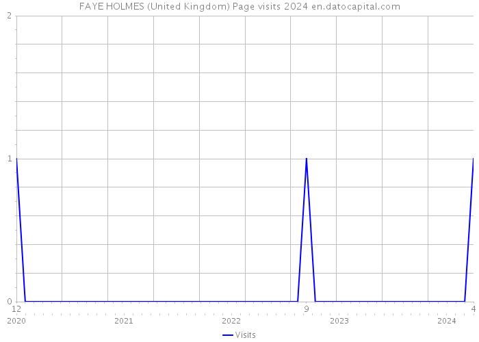FAYE HOLMES (United Kingdom) Page visits 2024 