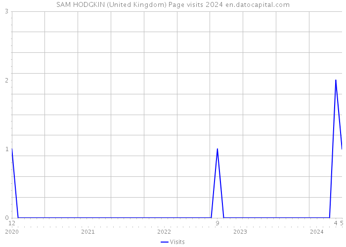 SAM HODGKIN (United Kingdom) Page visits 2024 