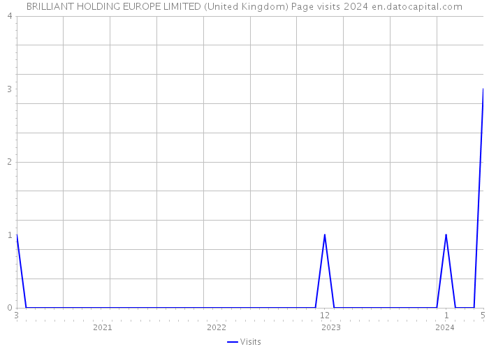 BRILLIANT HOLDING EUROPE LIMITED (United Kingdom) Page visits 2024 