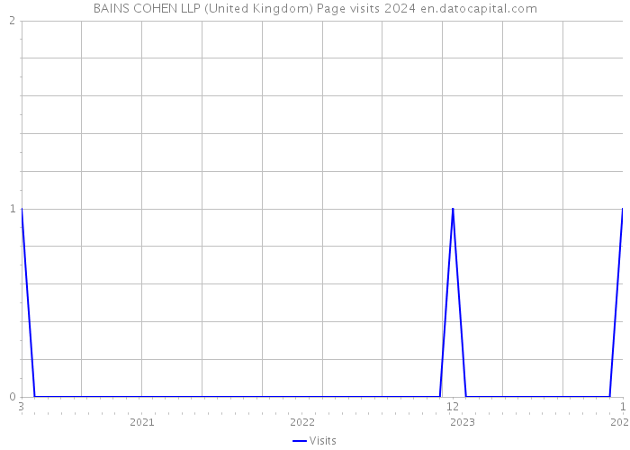 BAINS COHEN LLP (United Kingdom) Page visits 2024 