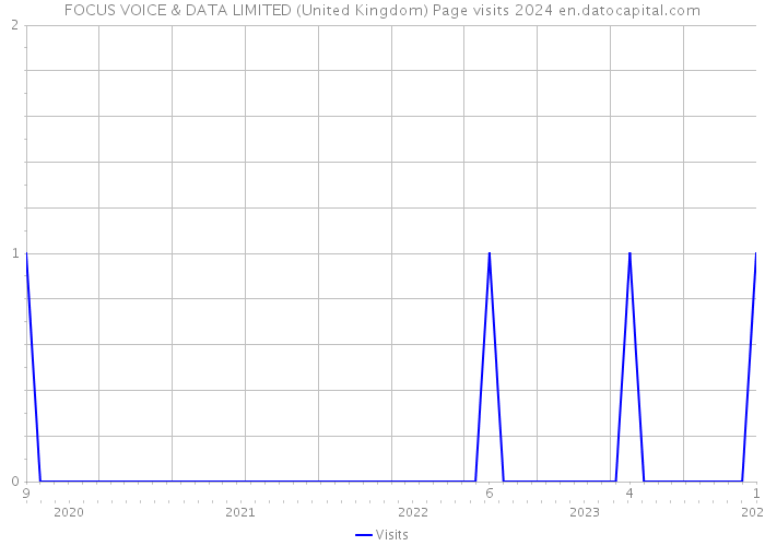 FOCUS VOICE & DATA LIMITED (United Kingdom) Page visits 2024 