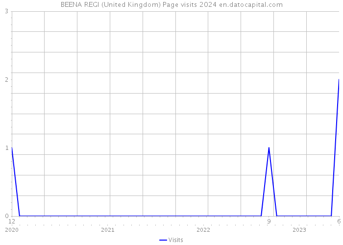 BEENA REGI (United Kingdom) Page visits 2024 