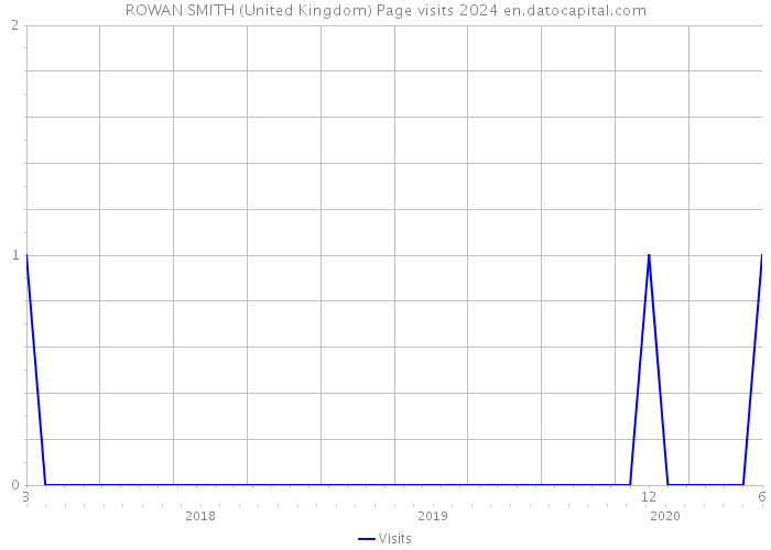ROWAN SMITH (United Kingdom) Page visits 2024 