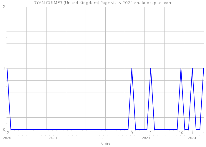 RYAN CULMER (United Kingdom) Page visits 2024 