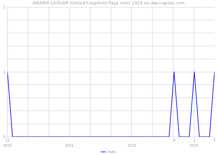 AMARIA LAOUAR (United Kingdom) Page visits 2024 