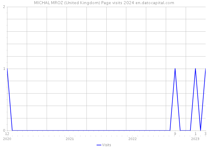MICHAL MROZ (United Kingdom) Page visits 2024 