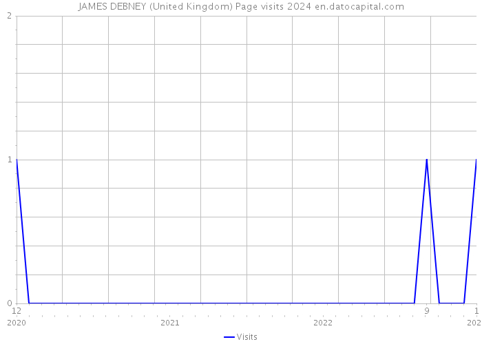 JAMES DEBNEY (United Kingdom) Page visits 2024 