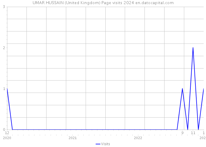 UMAR HUSSAIN (United Kingdom) Page visits 2024 