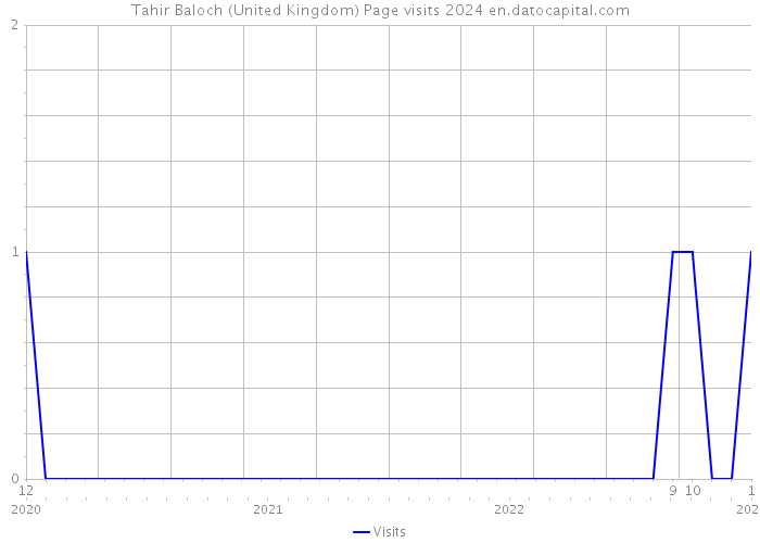 Tahir Baloch (United Kingdom) Page visits 2024 