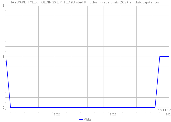 HAYWARD TYLER HOLDINGS LIMITED (United Kingdom) Page visits 2024 