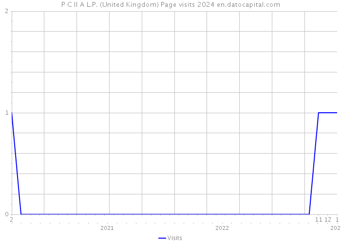 P C II A L.P. (United Kingdom) Page visits 2024 
