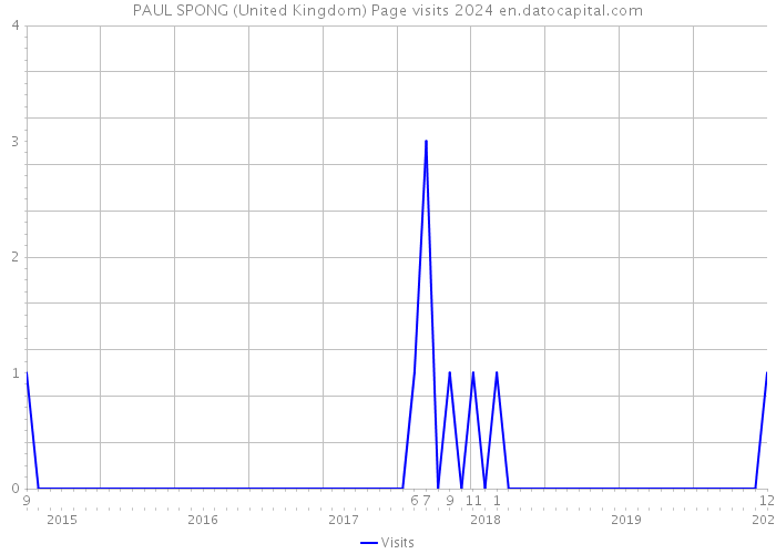 PAUL SPONG (United Kingdom) Page visits 2024 
