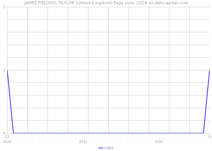 JAMES FIELDING TAYLOR (United Kingdom) Page visits 2024 