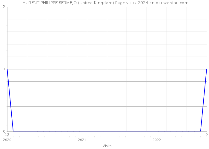 LAURENT PHILIPPE BERMEJO (United Kingdom) Page visits 2024 