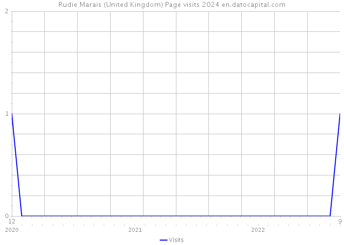 Rudie Marais (United Kingdom) Page visits 2024 