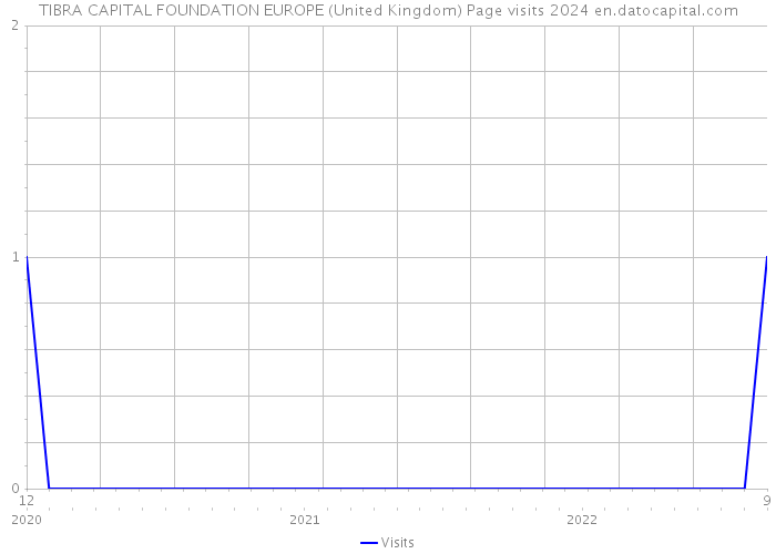 TIBRA CAPITAL FOUNDATION EUROPE (United Kingdom) Page visits 2024 