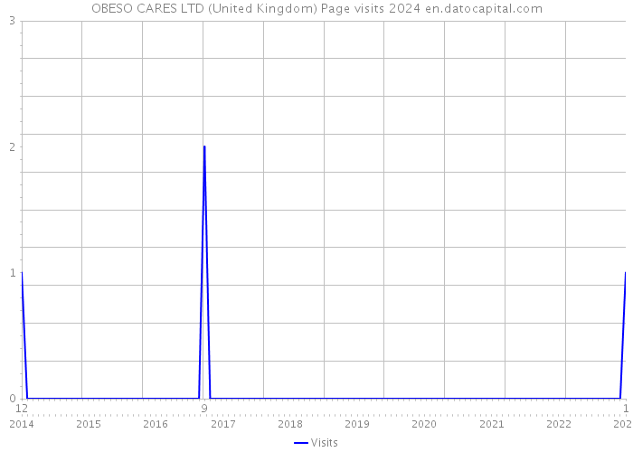 OBESO CARES LTD (United Kingdom) Page visits 2024 