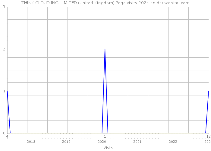 THINK CLOUD INC. LIMITED (United Kingdom) Page visits 2024 