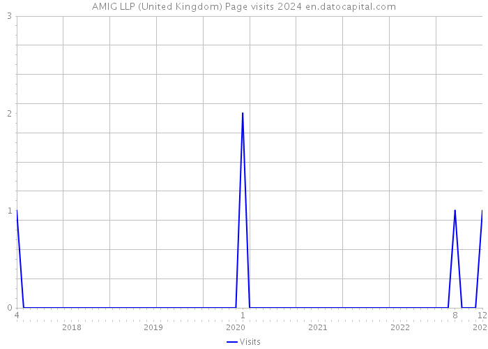 AMIG LLP (United Kingdom) Page visits 2024 