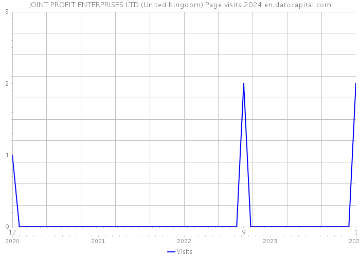 JOINT PROFIT ENTERPRISES LTD (United Kingdom) Page visits 2024 