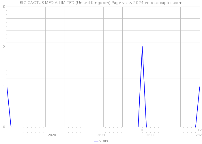 BIG CACTUS MEDIA LIMITED (United Kingdom) Page visits 2024 